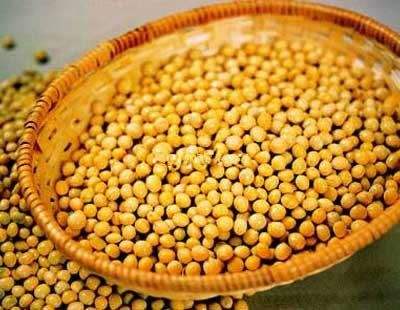 美黄豆期货品种概况