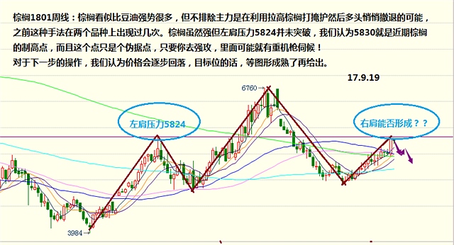 9月29日油脂橡胶期货商品策略分析