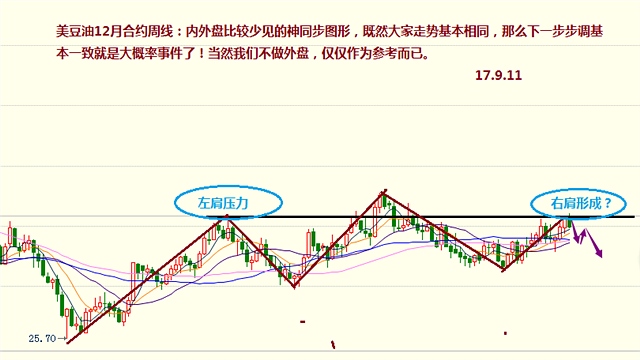 9月29日油脂橡胶期货商品策略分析