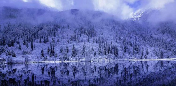 四川阿坝大雪纷飞 夏天四川为什么会下雪