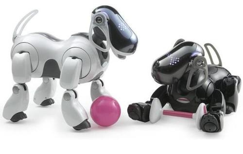 索尼将推出犬型机器人 能当宠物又能语音操作家电