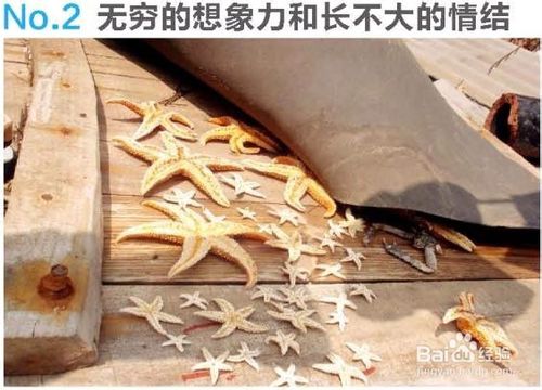 日照渔家乐哪家好-日照渔家乐住宿多少钱