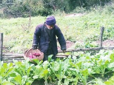 游客讨水送米面钱 年年送礼还滴水之恩