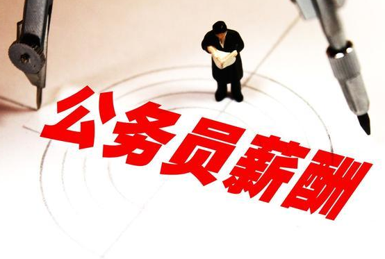 公务员体检标准_公务员的收入比例