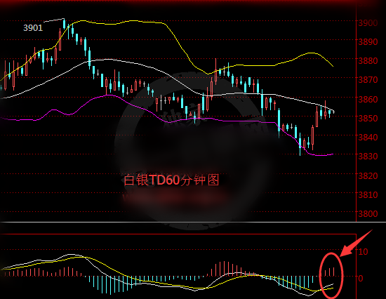 白银TD价格涨势回归