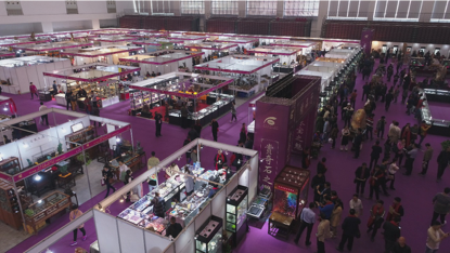 武汉首届观赏石珠宝科普文化节人气不减 珍奇宝石盛宴精彩继续