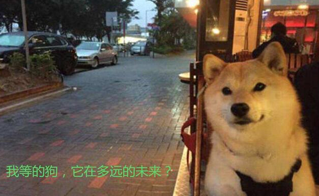 双11钱不够花?别愁 最新信用卡开卡技术来了~