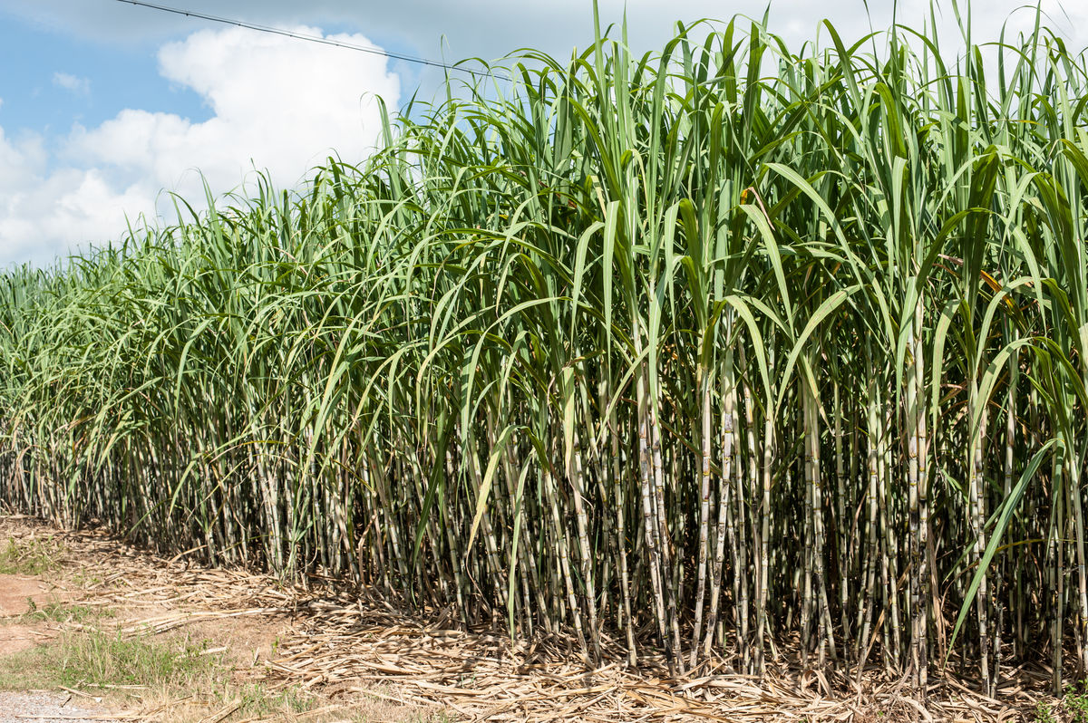 两万吨螺纹钢陷入买卖两难-第5页