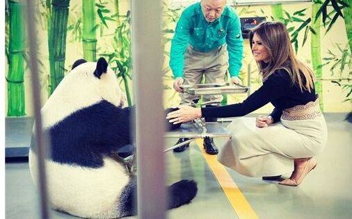 美第一夫人喂熊猫 还抚摸其爪子