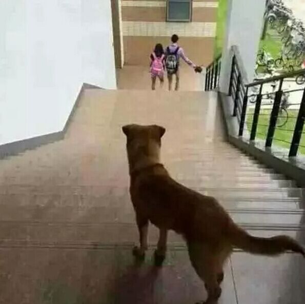 单身狗容易得胃病 这是怎么回事?