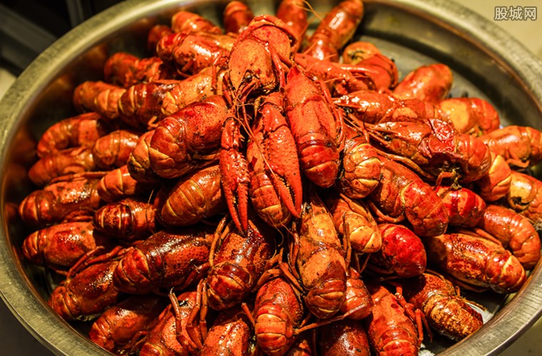 中国足协公布了 国足参加明年初中国杯邀请赛