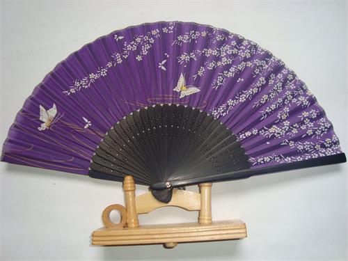 各种类型扇子图片大全