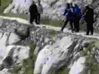 游客将野猪逼下崖 苦苦挣扎却无路可逃