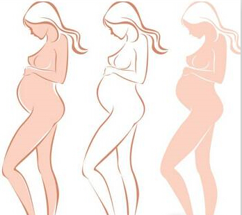 生育险可以自己交吗?