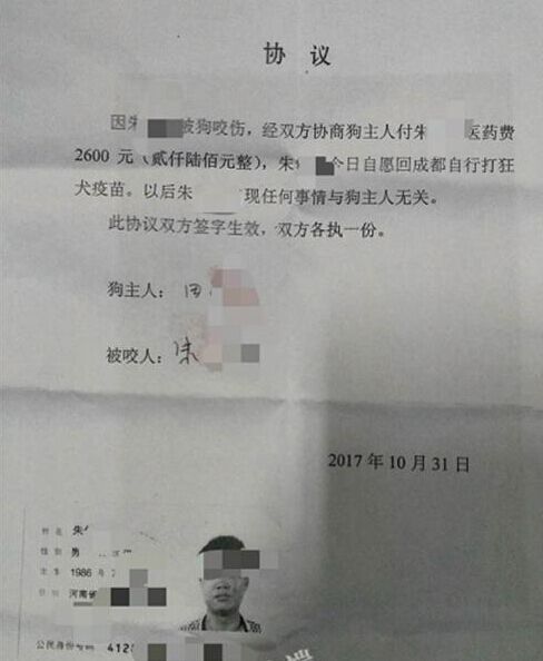 男子碰瓷宠物狗 调出监控后才知狗狗背了黑锅!