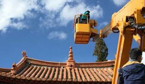 海鸥被困屋顶3天 不停拍打翅膀试图挣脱束缚