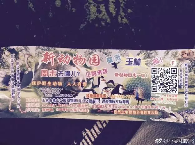 广西现奇葩动物园 企鹅都是充气的而且还漏气