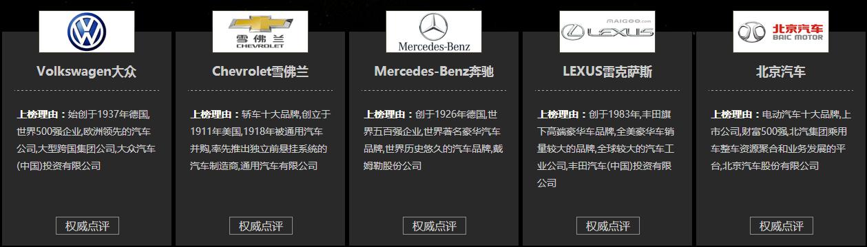 新能源汽车品牌排名