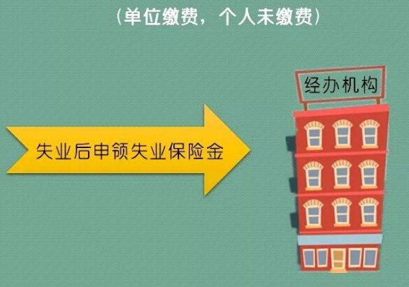 城镇职工基本医疗保险_2018年城镇职工收入