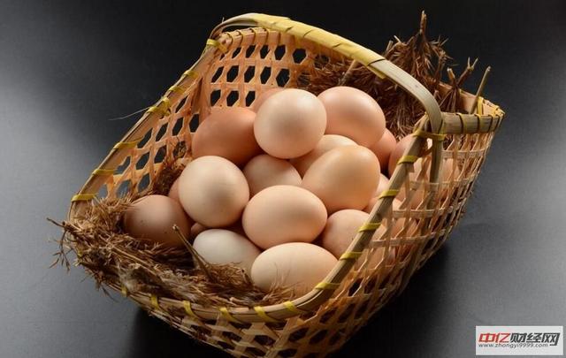 12.21最新鸡蛋价格行情走势：今日鸡蛋多少钱一斤？