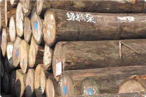 非洲十大常见硬木木材