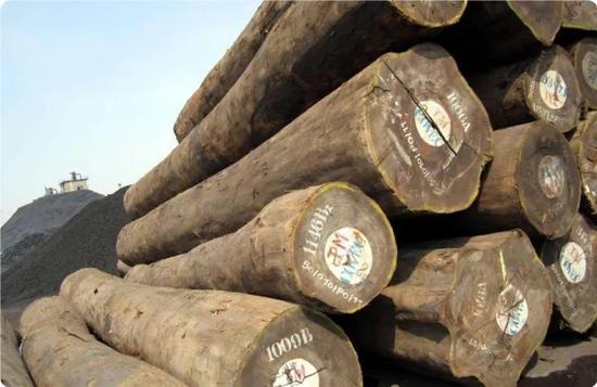 非洲十大常见硬木木材