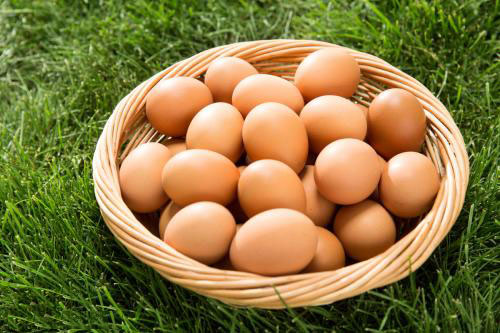 （2017年12月22日）今日各地鸡蛋市场价格