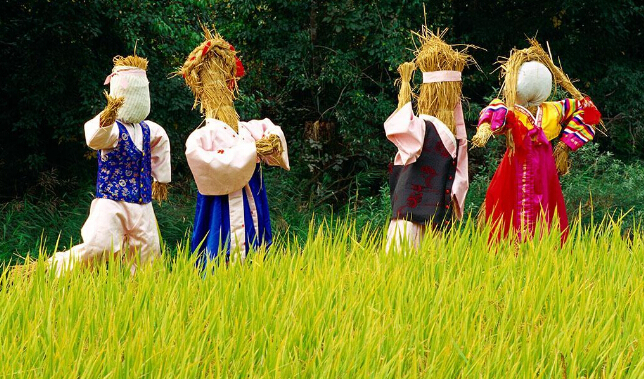 惊呆!香港、韩国的生活成本竟如此之高!为什么