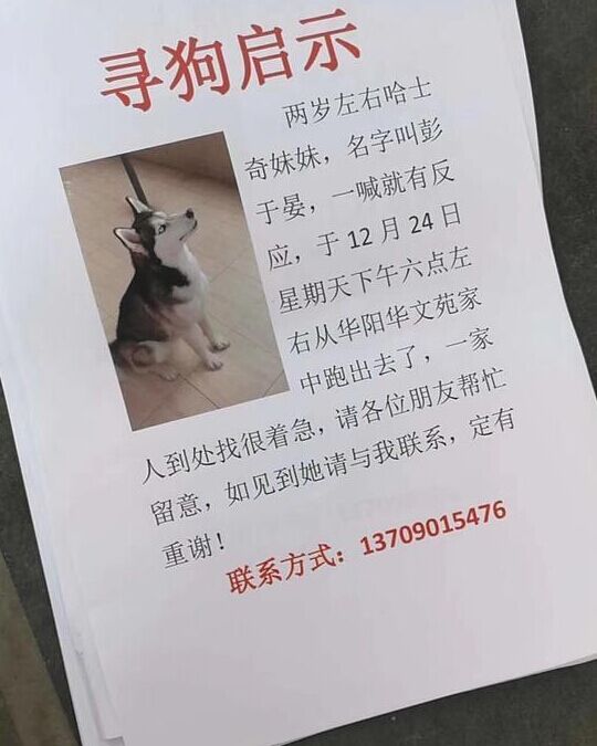 贴启事寻找彭于晏 彭于晏丢了?