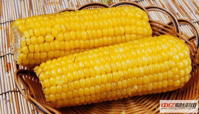 12.27今日最新玉米价格行情走势：今日玉米多少钱一斤？