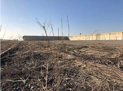 贾跃亭为何对10亿美元融资讳莫如深?