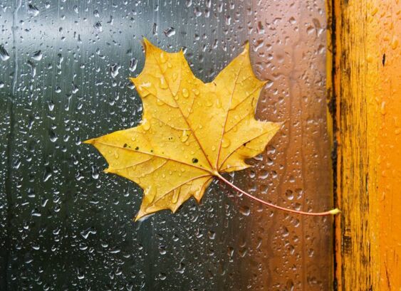 两大重磅利好突然现身 黄金多头垂涎1300美元大关