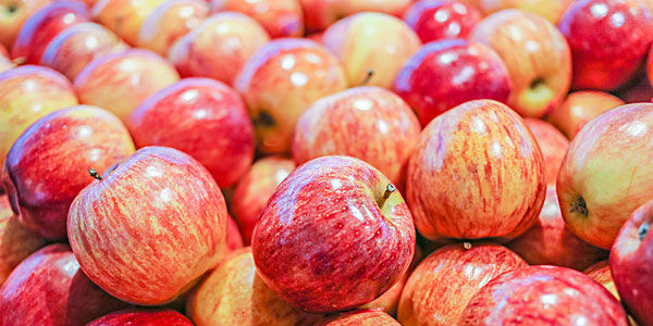 苹果期货影响因素