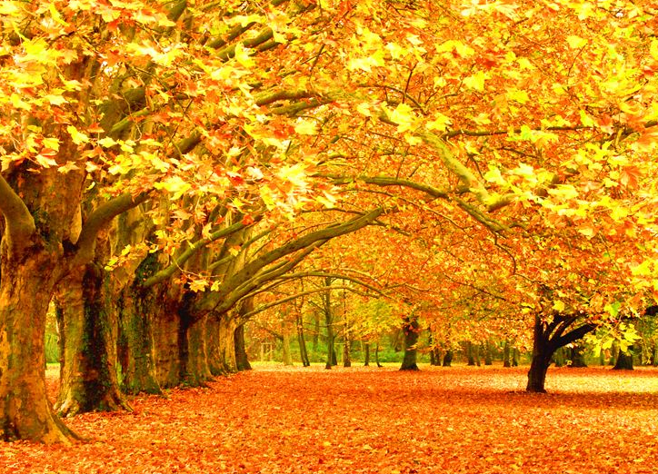 黄金避险投资需求水涨船高 金价欲攀1400美元高峰