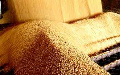 目前国内豆粕市场需求不佳 后市不乏利好因素