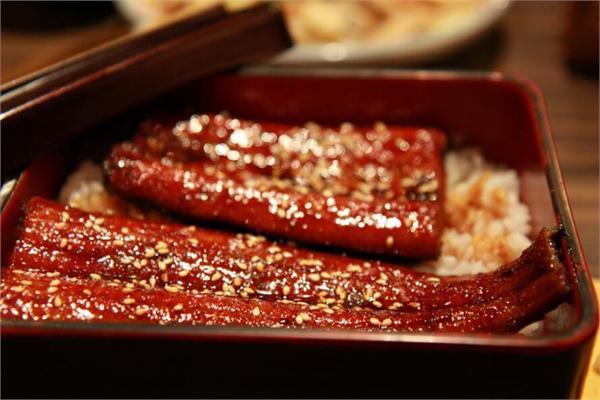 日本鳗遇严重鱼荒 捕获量竟只有去年同期百分之一