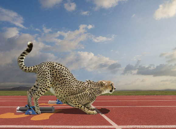 美假日市场交投清淡 金价已蓄势待发