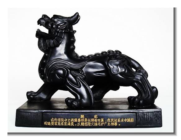 煤玉是什么_煤玉精品介绍_煤玉鉴别_煤玉图片