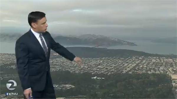 天气预报直播现场闯入小鸟 屏幕上出现鸟嘴