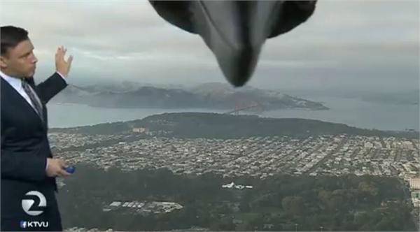 天气预报直播现场闯入小鸟 屏幕上出现鸟嘴