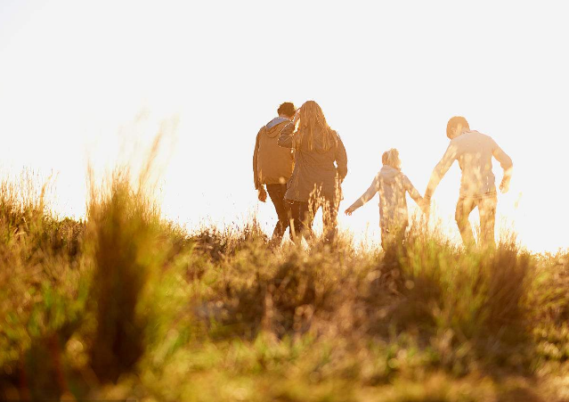 美联储褐皮书公布 金价演绎二度跳水行情