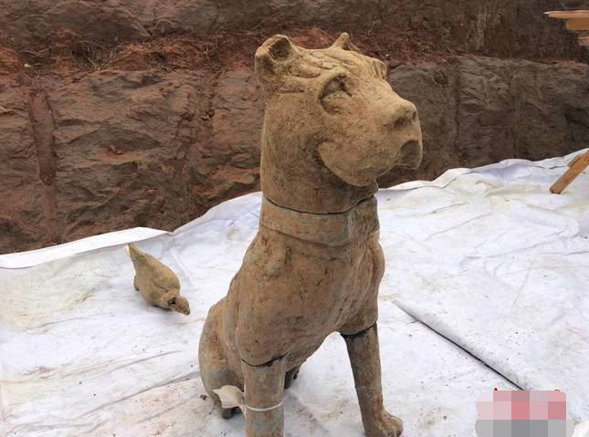 震惊!成都现大型崖墓群 高鼻梁大眼睛尽显西域风