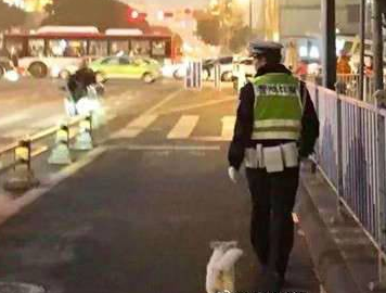 流浪小狗求助辅警 等着他下班当起小跟班