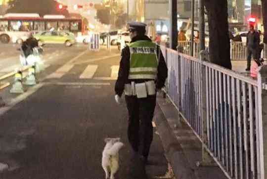 流浪小狗求助辅警 有困难找警察温暖成都大寒天