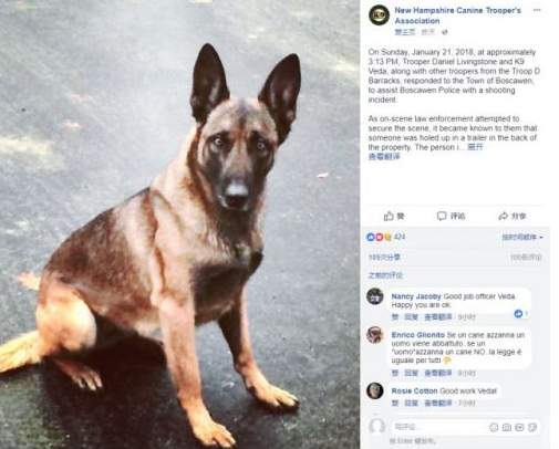 男子拒捕咬警犬头 人咬狗还想赢简直异想天开!