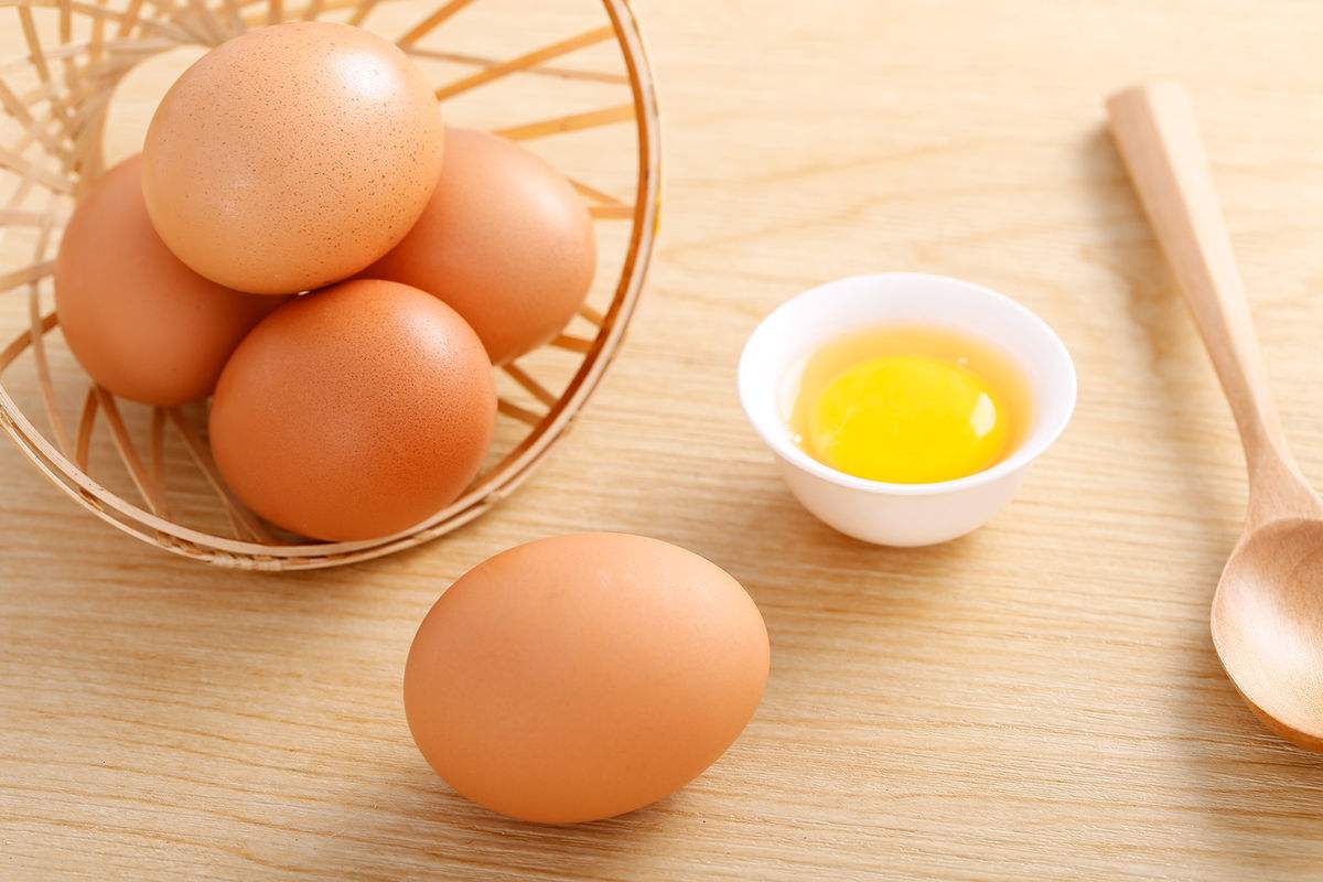 鸡蛋期货重回均线系统之下 市场交投谨慎