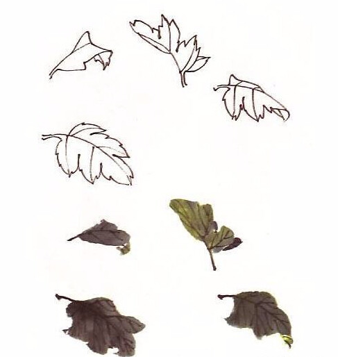 国画菊花的画法