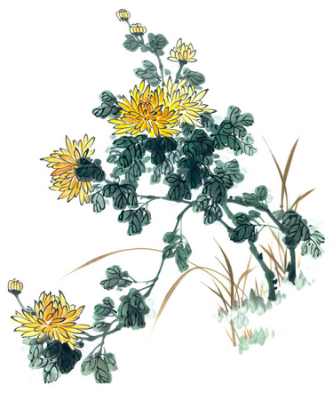 国画菊花的画法和步骤