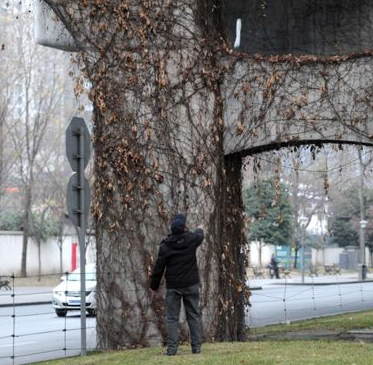 小猫困高架桥两年 大爷每天徒手扔食养活它
