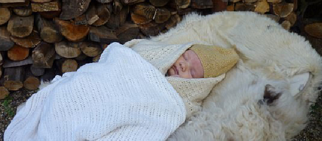 英国一托儿所流行另类复古育儿法 将婴儿带至森林中午睡